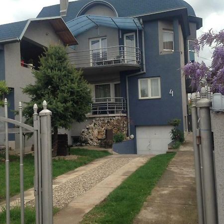 Blue House Apartment Nis Ngoại thất bức ảnh